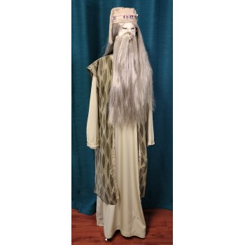 Professor Dumbledore# 2 ADULT HIRE